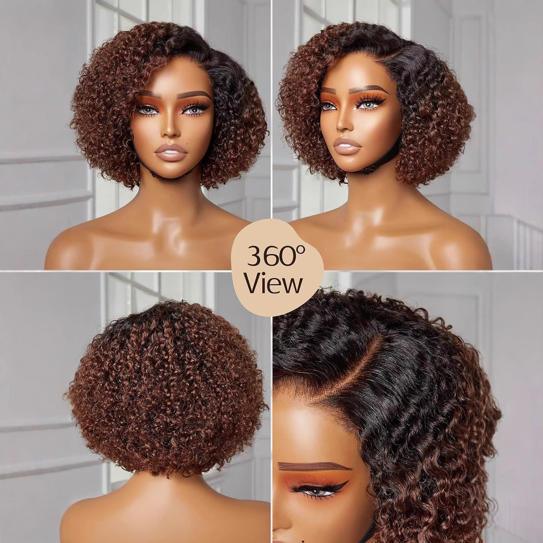 Women's African Fashion Synthetic Wigs Brown Partial Wig Short Curly Hair