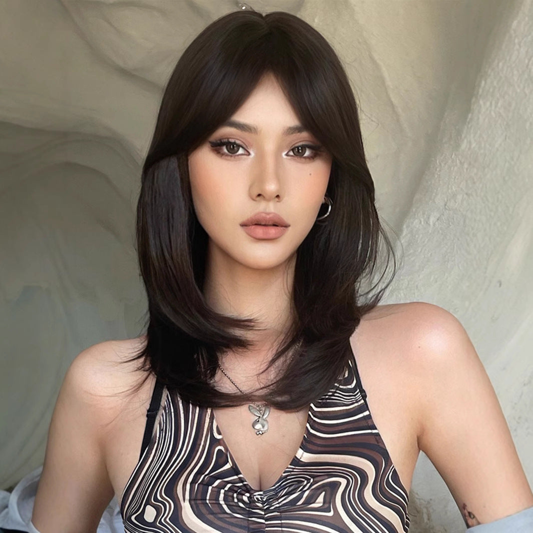 Bangs Black Brown Hair High Temperature Long Straight Wig