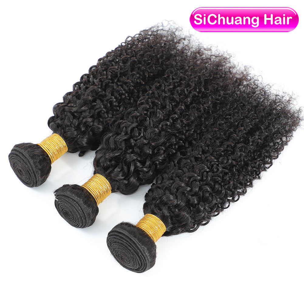 Human Wigs Hair Weft African Fashion Wig Long Curls