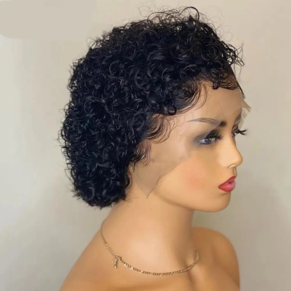 Pixie Cut Lace Wigs Human Shor Wig Short Curly Hair