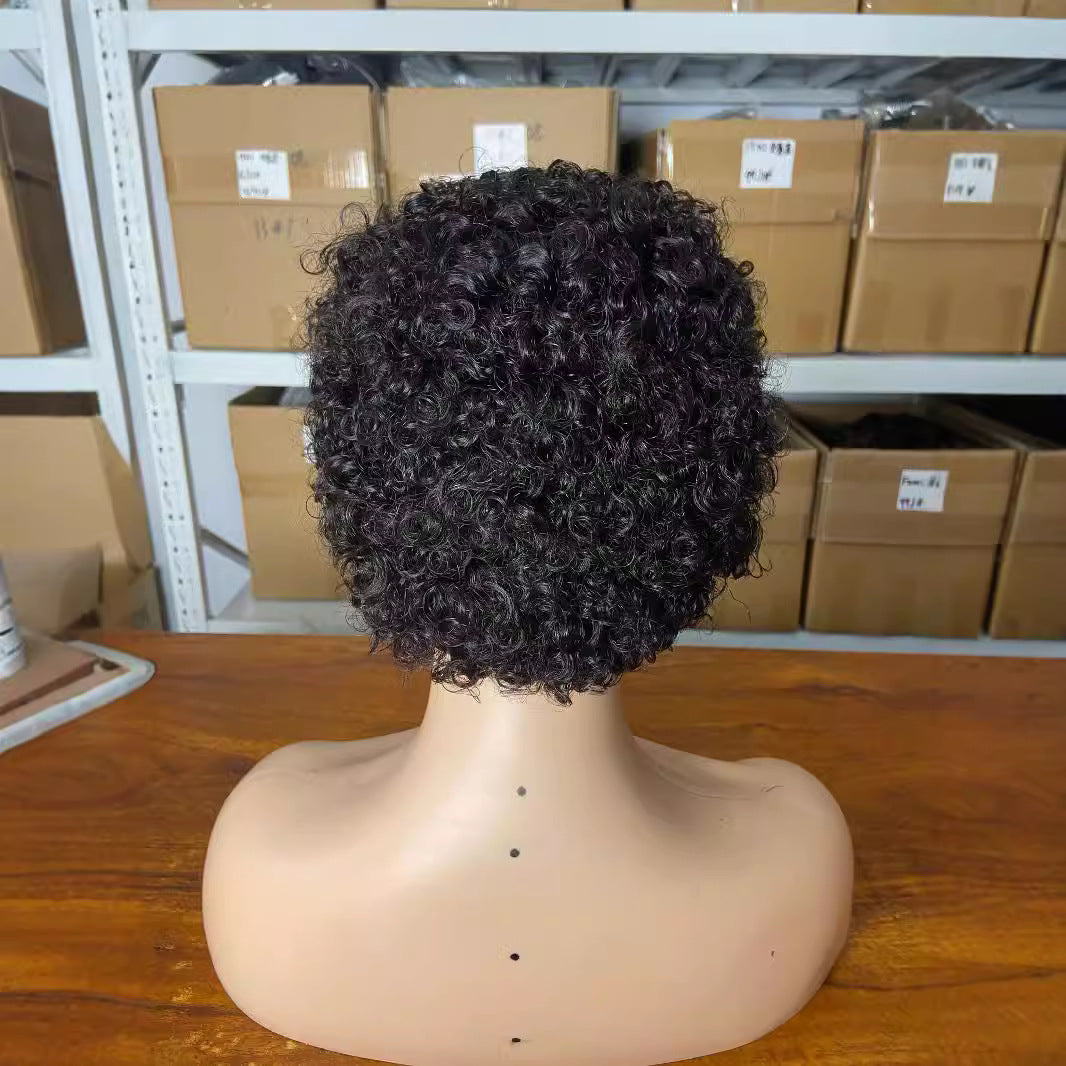 Attractive Graceful African Human Small Curls Wig Short Curly Hair