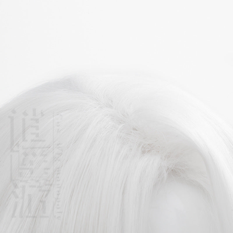 Free Travel No Version White Anime Cos Wig