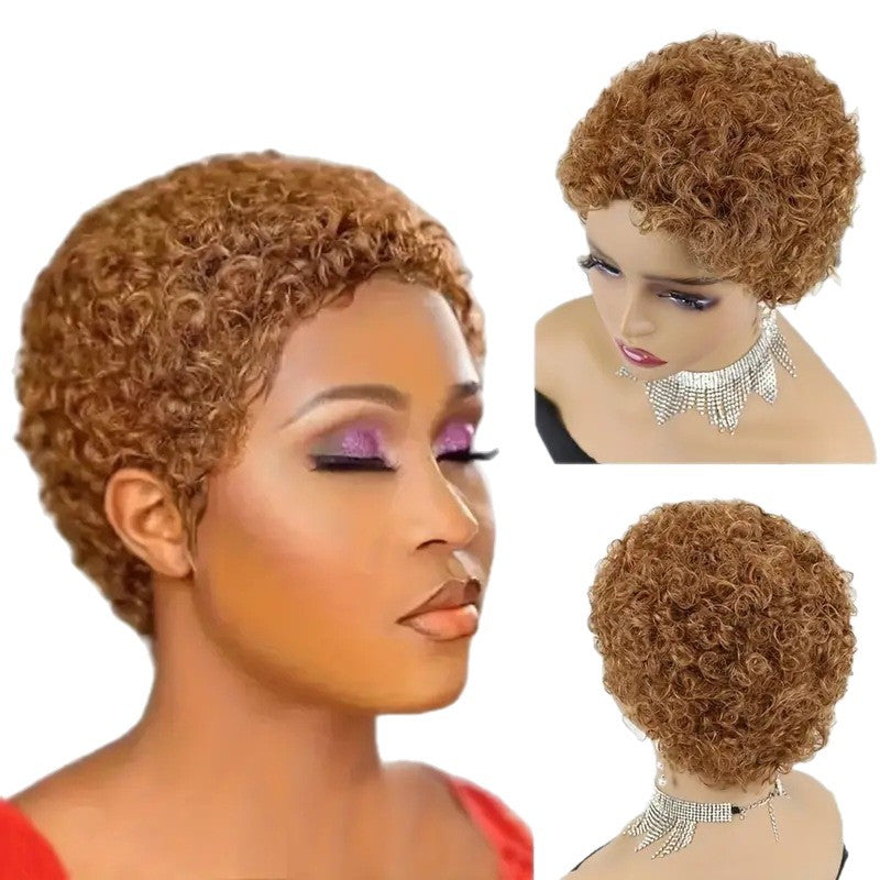 Human Mechanism Head Cover African Small Wig Short Curly Hair
