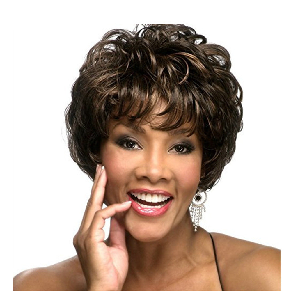 Women's Fluffy Natural Brown Fiber Chemical Rose Wig Short Curly Hair