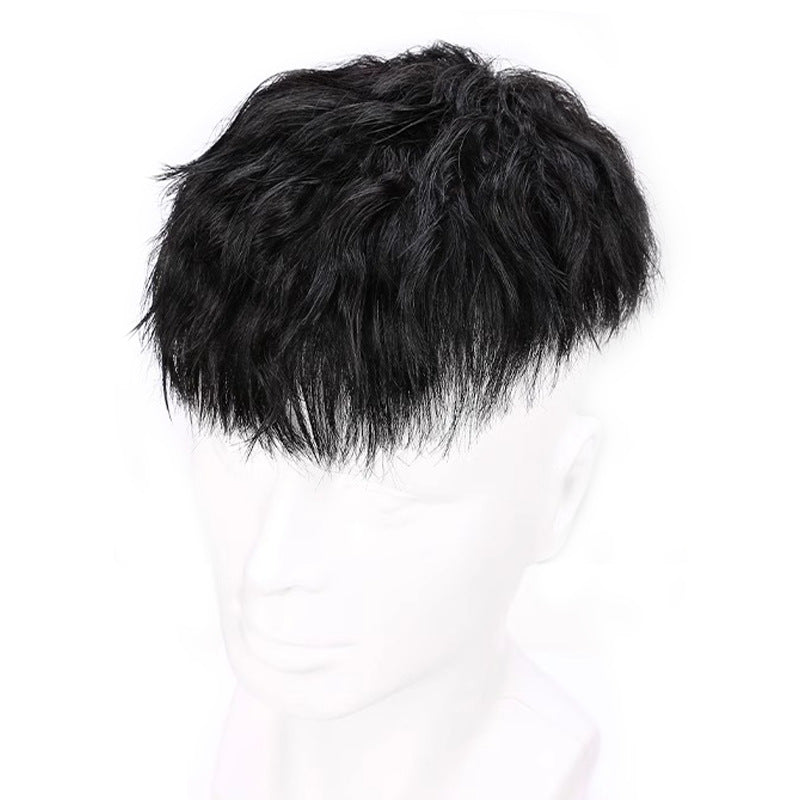 Men's Short Hair Full Real Human Naturally Men's Wig