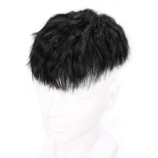 Men's Short Hair Full Real Human Naturally Men's Wig