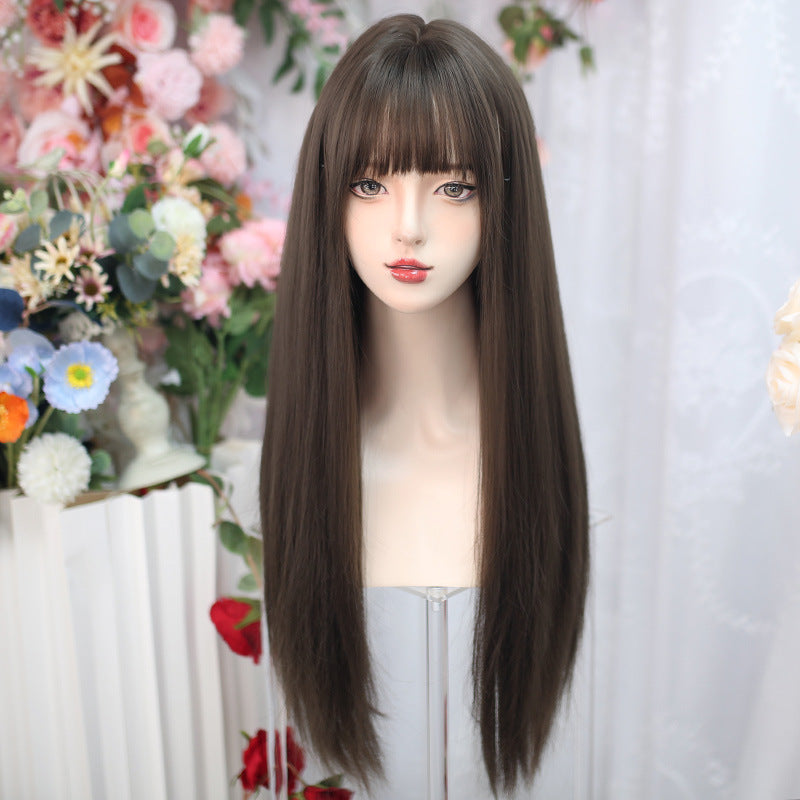 Women's Long Hair Straight Natural Simulation People Air Other Wig