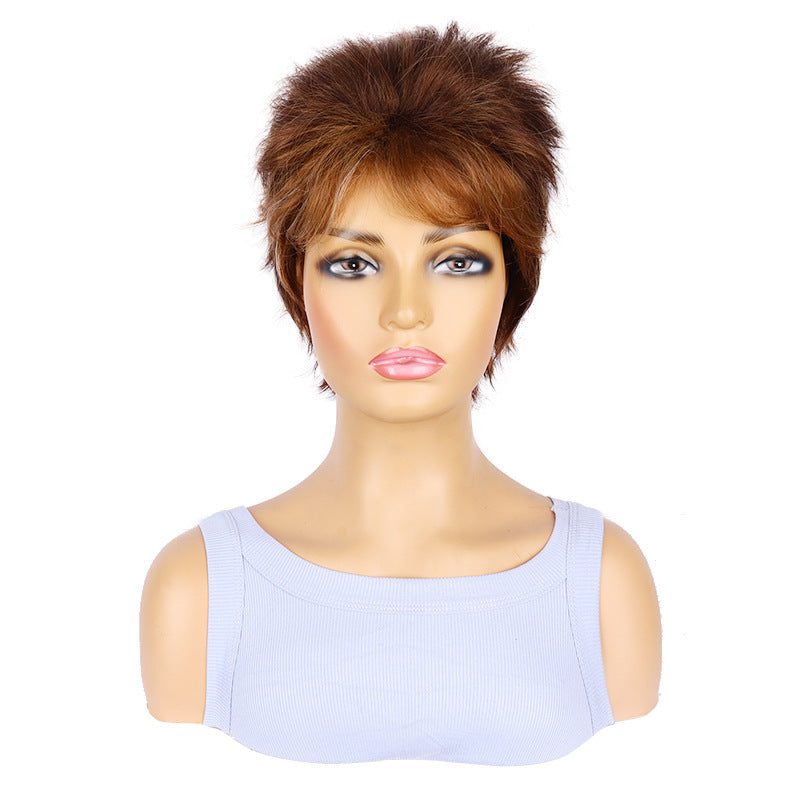 Women's Brown Fashion Hedgehog Head Cover Daily Wig Short Straight Hair