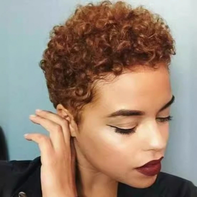 African Small Roll Brown American Style Wig Short Curly Hair