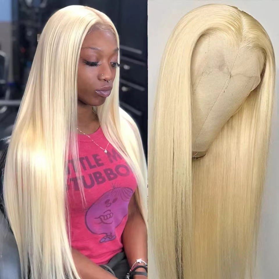 Women's Hair Lace Sheath Fiber Synthetic Wigs Long Straight Wig