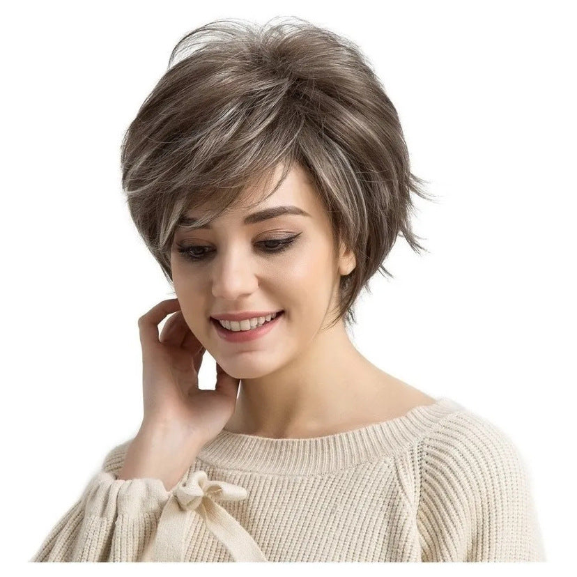 Women's Fashion Brown Gray Rose Net Wig Short Straight Hair