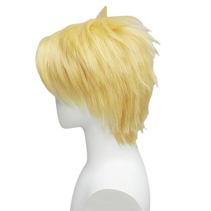 Spy Playing House Dusk Lloyd Golden Cos Wig