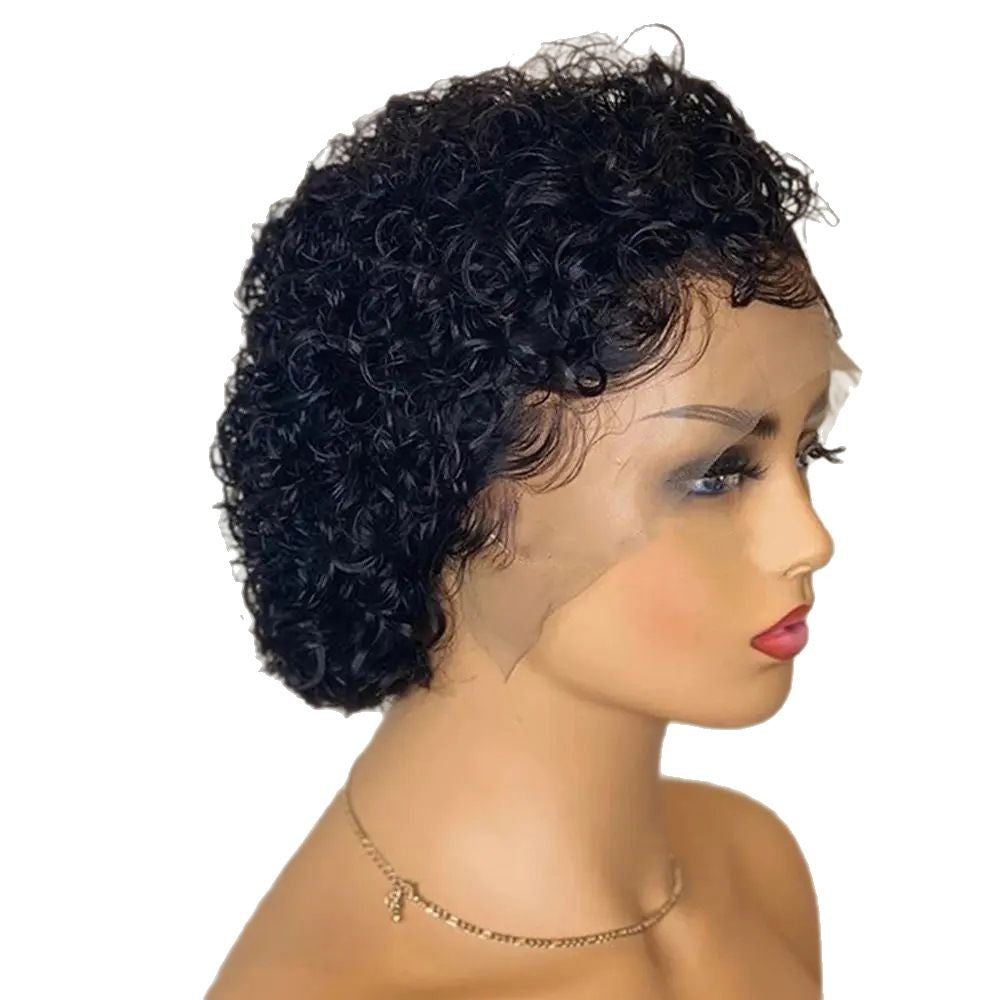 Pixie Cut Lace Wigs Human Shor Wig Short Curly Hair