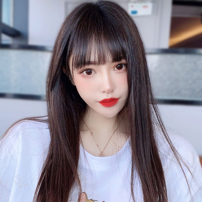 Women's Hair Realistic Natural Front Lace Needle Long Straight Wig