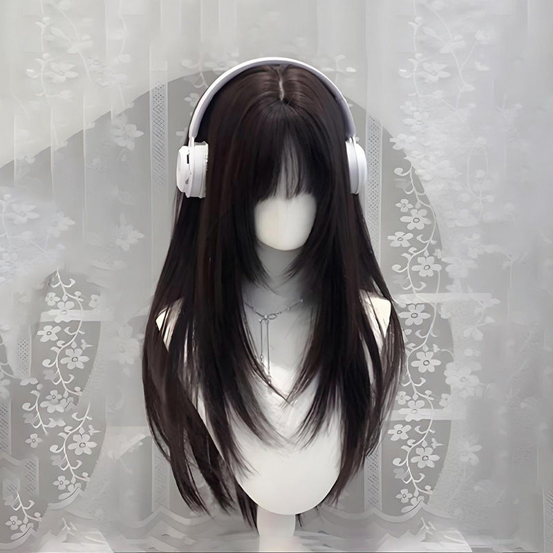 Women's Hair High-level Natural Two-dimensional Daily Black Long Straight Wig