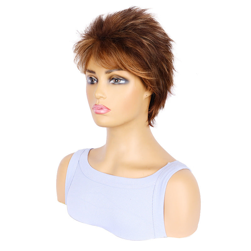 Women's Brown Fashion Hedgehog Head Cover Daily Wig Short Straight Hair