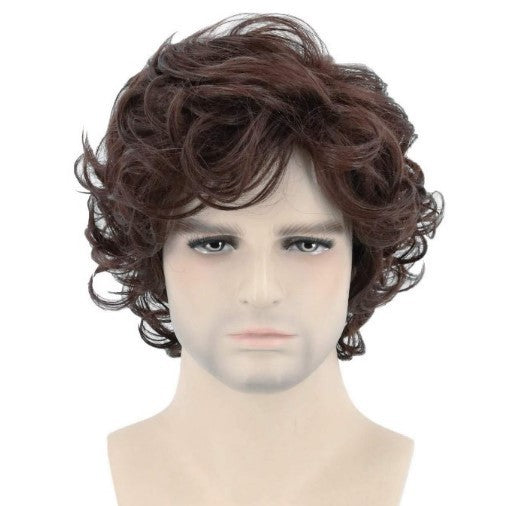 Men's Short Curly Hair Small Curls Male Black Men's Wig