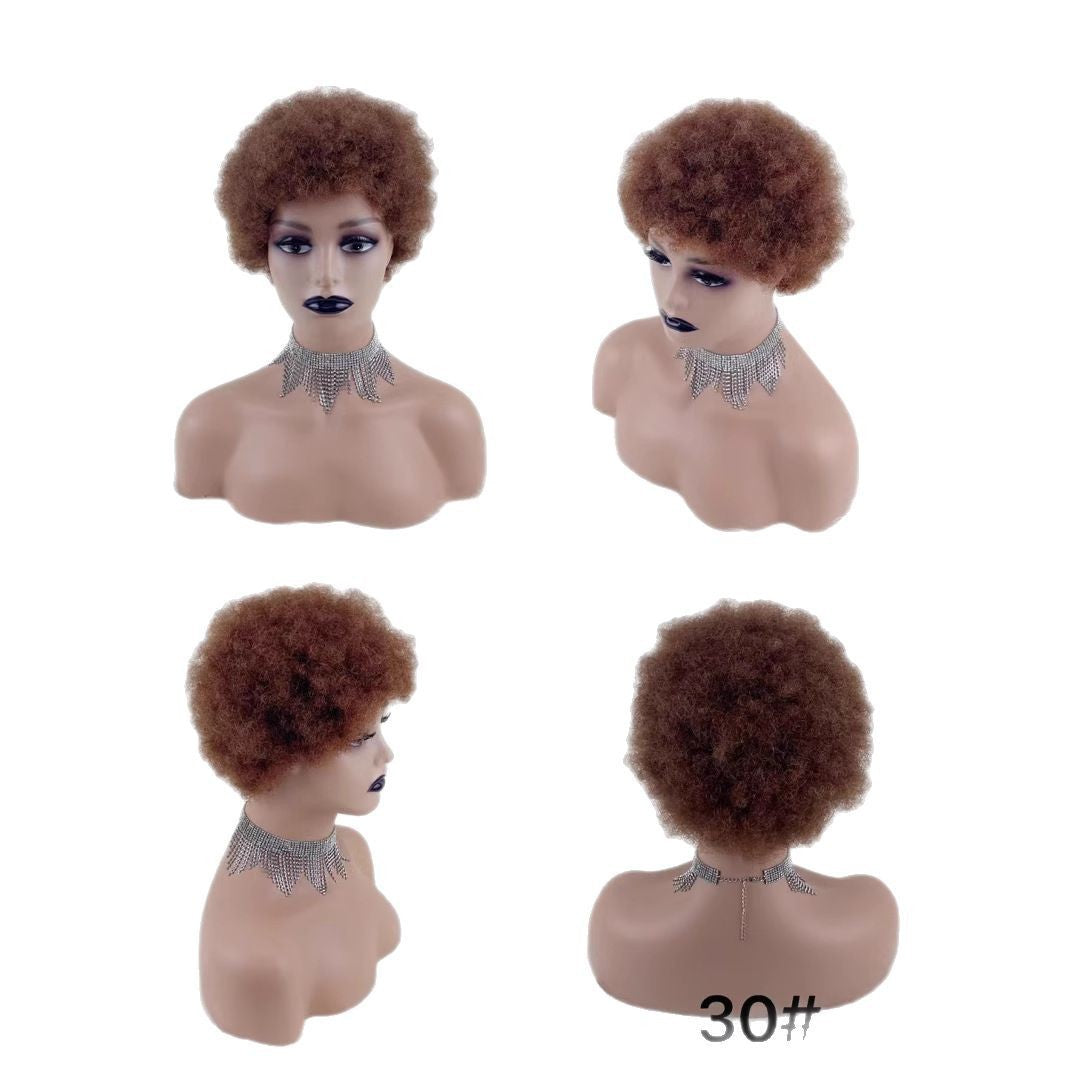 Classic Pretty Innovative Straight African Curly Real Hair Wig