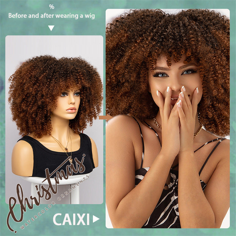 African Small Volume Fluffy Afro Head Cover Wig Short Curly Hair