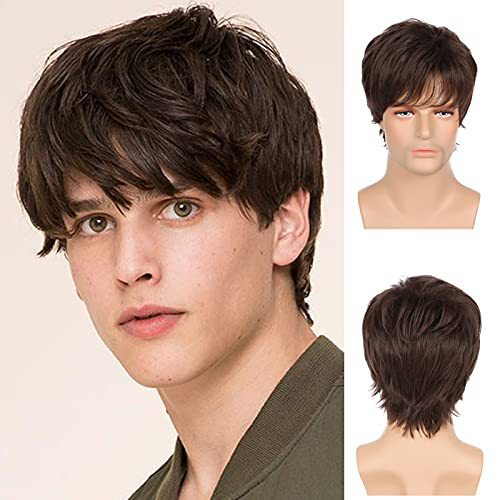 Men's Brown Black Curly Side Bangs Fluffy Wig Short Straight Hair