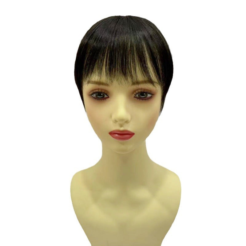 Women's Hair Supplementing Piece Short Straight All Increased Volume Covering Wig