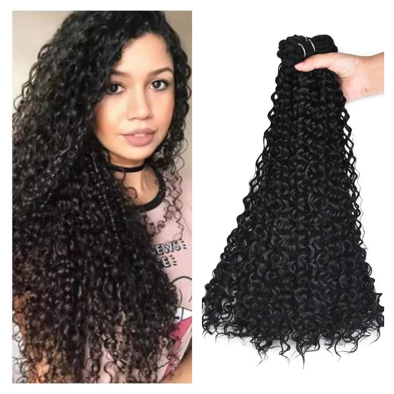 Inch Curly Hair Qu Chemical Fiber Extension Wig Long Curls
