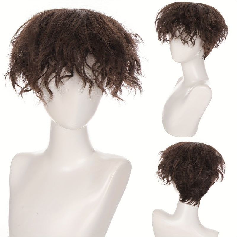 Men's Short Curly Fluffy Natural Mechanism Chemical Other Wig