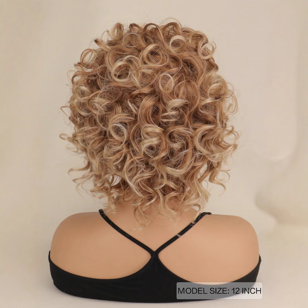 Classy Attractive Promotion Fiber Fluffy Sheath Wig Short Curly Hair