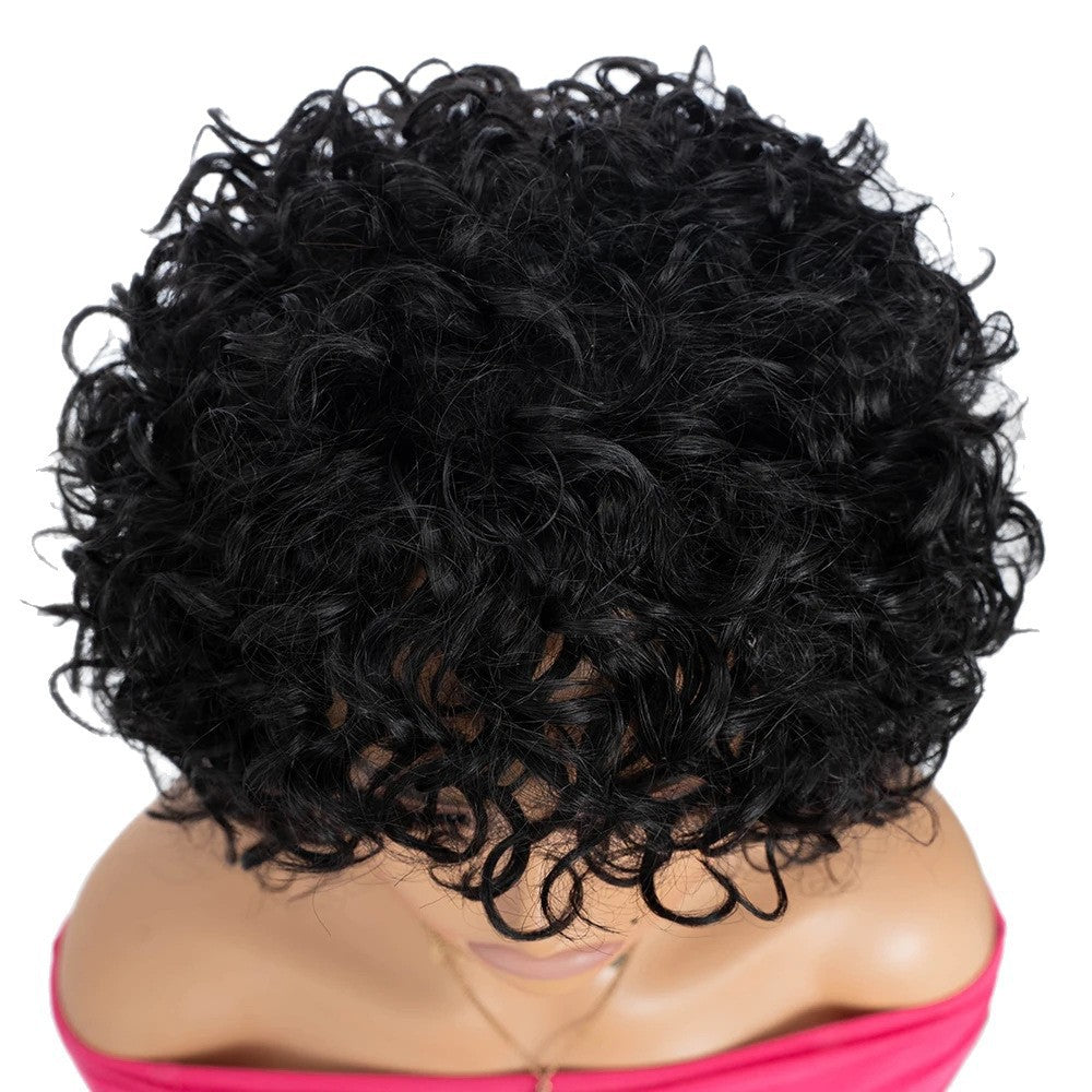 Popular With Bangs Black African Small Wig Short Curly Hair