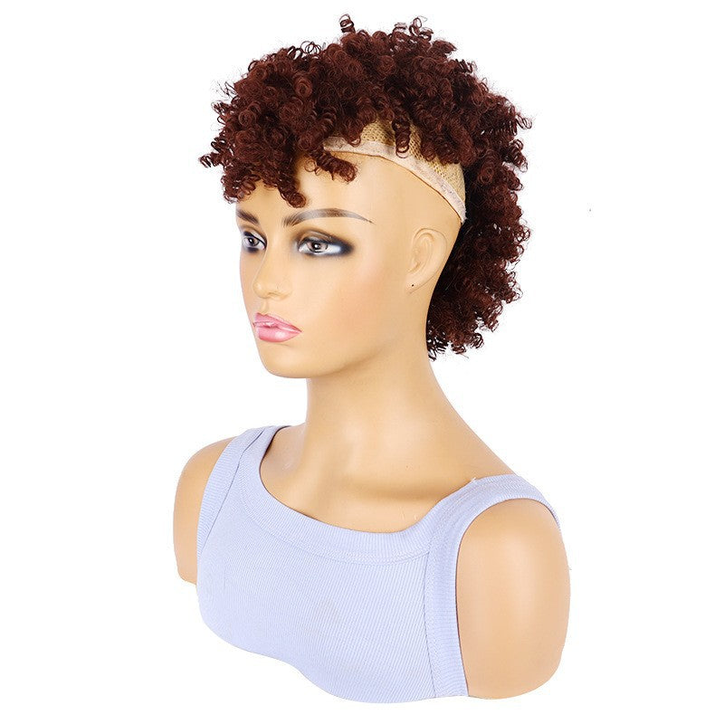 Dried African Small Curly Short Hair Wig Ponytail