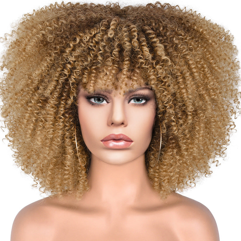 African Small Afro Rose Net Synthetic Wig Short Curly Hair