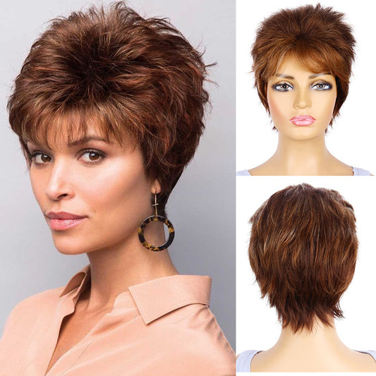 Women's Brown Fashion Hedgehog Head Cover Daily Wig Short Straight Hair