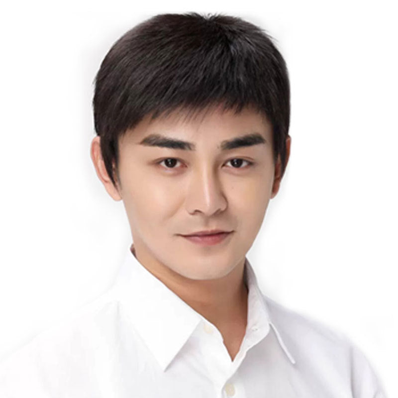 Male Style Short Hair Handsome Man Real Human Natural Breathable Men's Wig