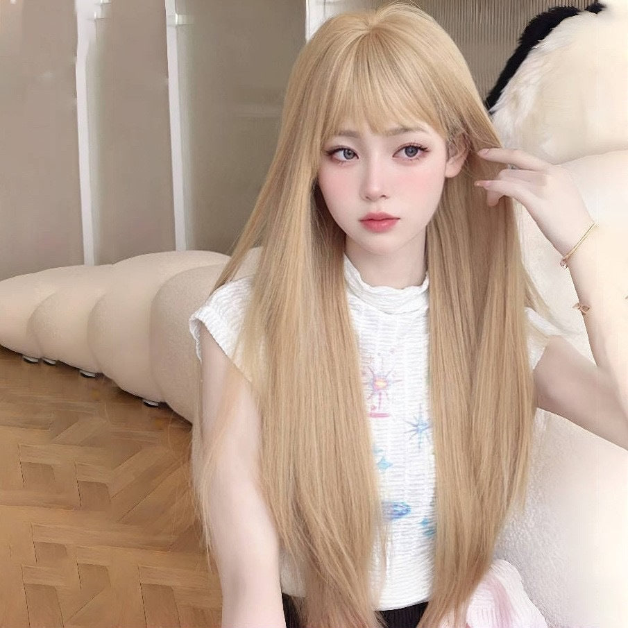 Women's Korean Style Fashion Hair Daily Simulation Long Straight Wig