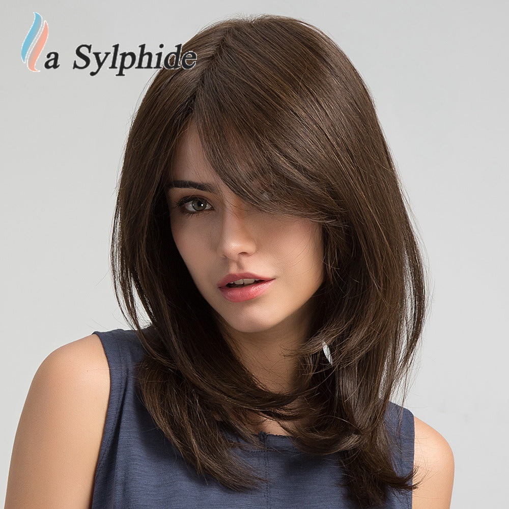 Brown Partial Hair Matte Fiber Age Reducing High Level Collarbone Long Straight Wig