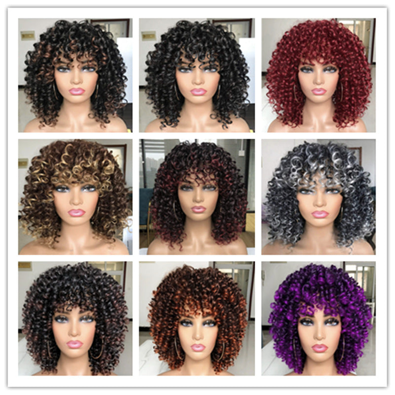 Winding Stick African Small Volume Fluffy Wig Short Curly Hair