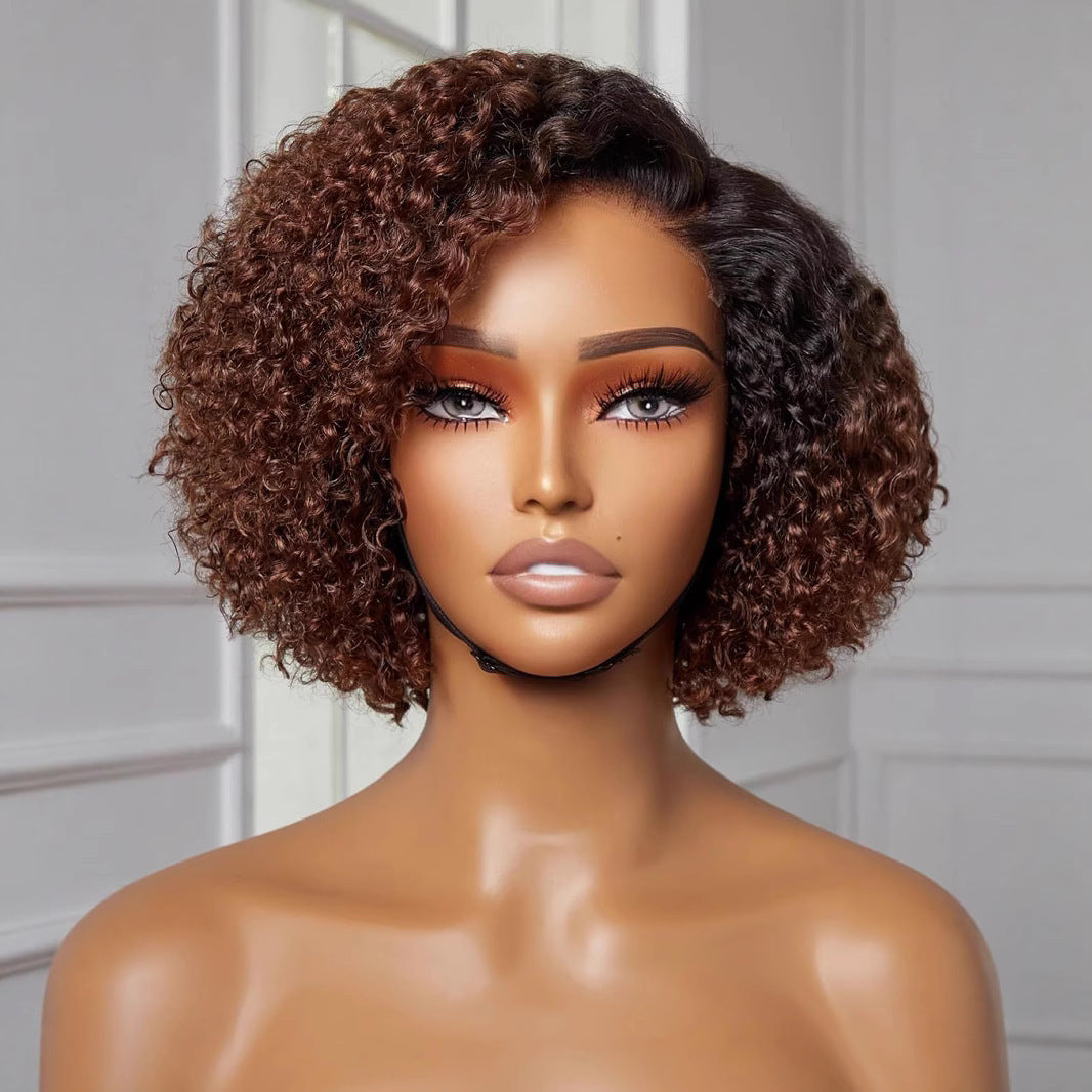 Women's African Fashion Synthetic Wigs Brown Partial Wig Short Curly Hair