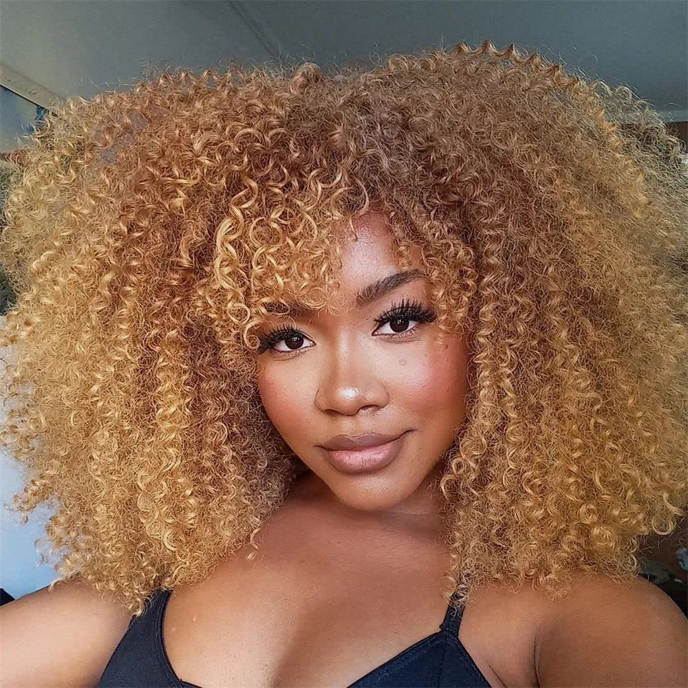 African Small Volume Fluffy Afro Head Cover Wig Short Curly Hair