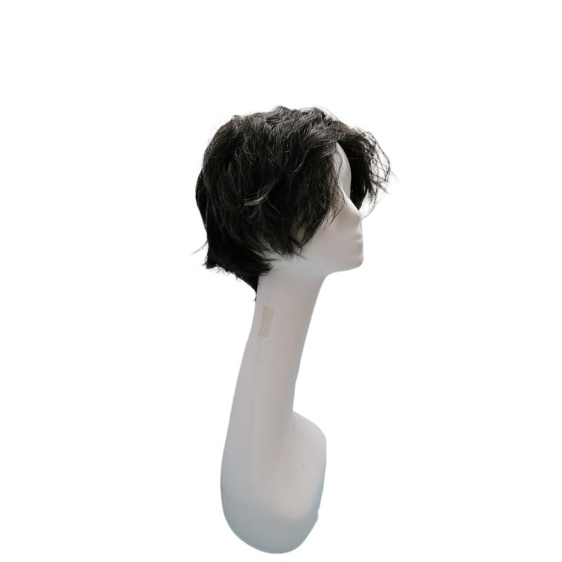 Women's & Men's Short Hair Fiber Cos Wig