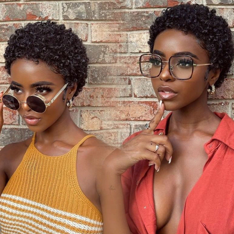 African Small Roll Brown American Style Wig Short Curly Hair