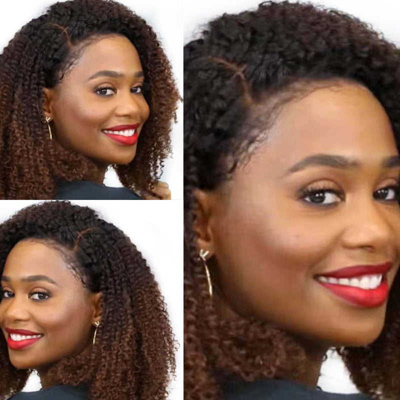 Women's Gradient African Small Roll Mid-length Brown Fiber Wig Short Curly Hair