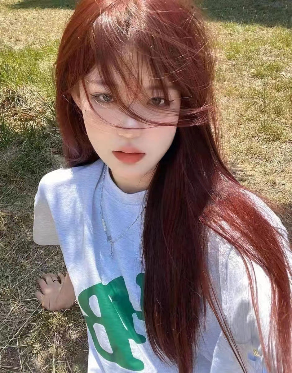 Hair Black Bangs Natural Simulation Human Long Straight Wig