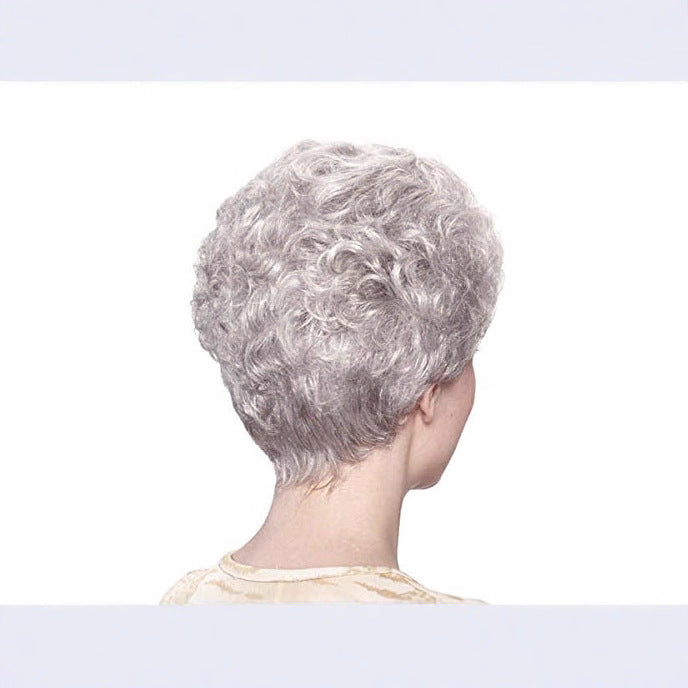 Pretty Cool Classic Sier Gray Grandma Wig Short Curly Hair