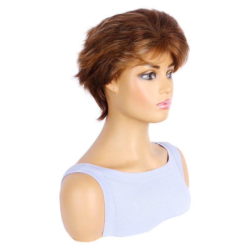 Women's Brown Fashion Hedgehog Head Cover Daily Wig Short Straight Hair