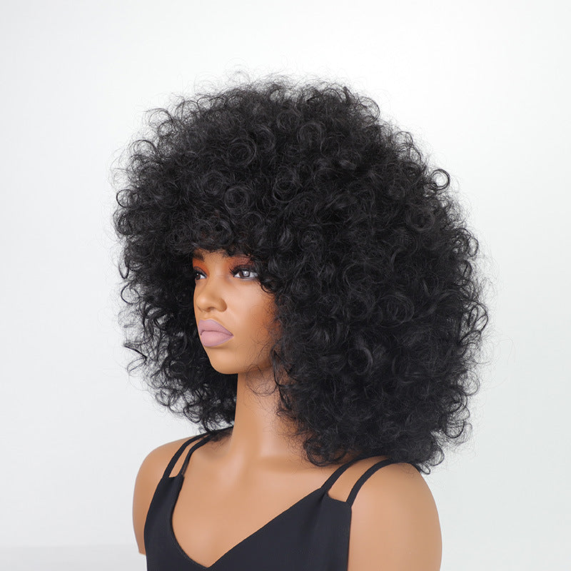 Women's Afro African Small Synthetic Wigs Wig Short Curly Hair