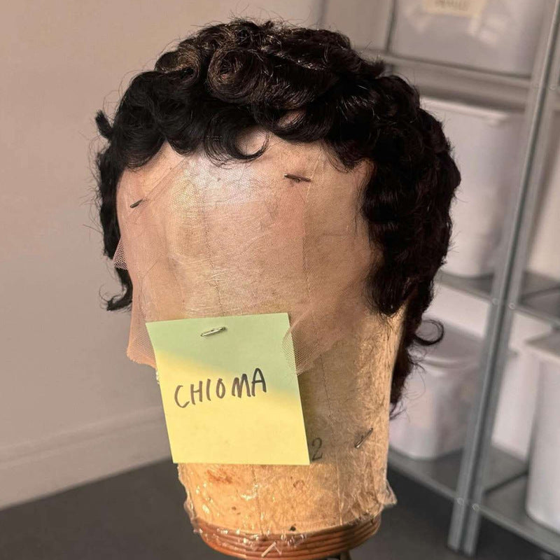 Short Curly Human Black Afro Natural Real Hair Wig