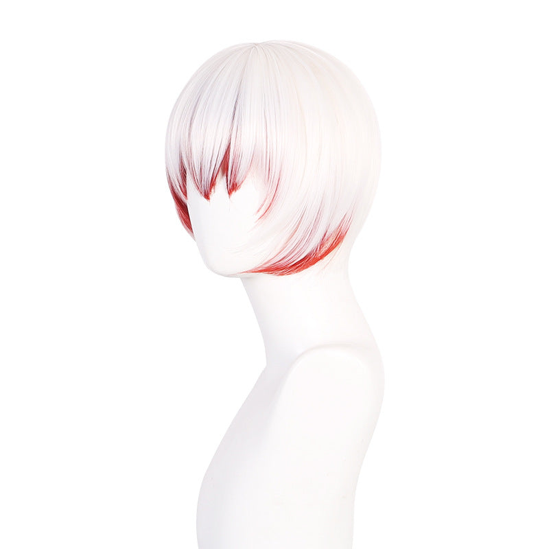 Stray Dogs Central Plains Middle School Raccoon Stripe Cos Wig