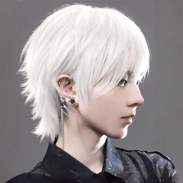 Men's Style Two-dimensional Male White Universal Handsome Cos Wig