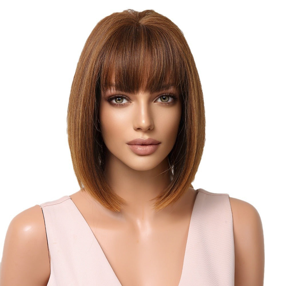 Elegant Classic Innovative Popular Gradient Gray Wig Short Straight Hair