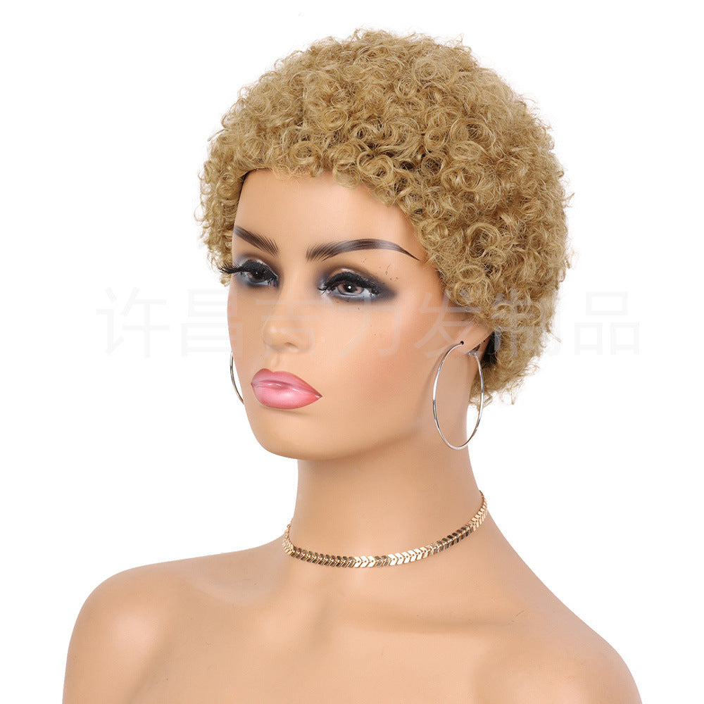 New Full Mechanism African Roll Human Real Hair Wig